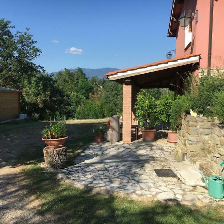 Agriturismo L'Erba Alta Villa Incisa in Val d'Arno Buitenkant foto