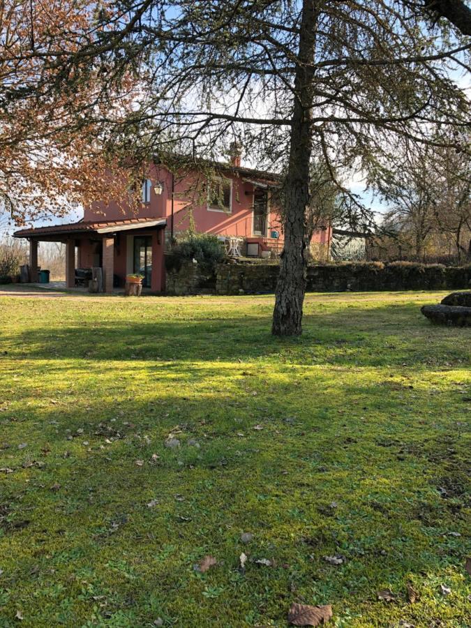 Agriturismo L'Erba Alta Villa Incisa in Val d'Arno Buitenkant foto