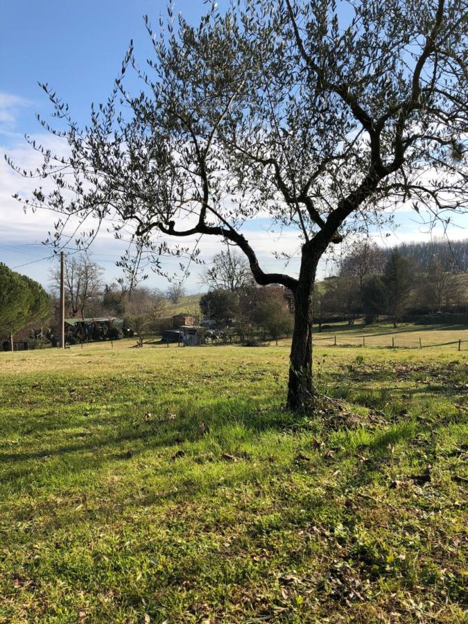 Agriturismo L'Erba Alta Villa Incisa in Val d'Arno Buitenkant foto